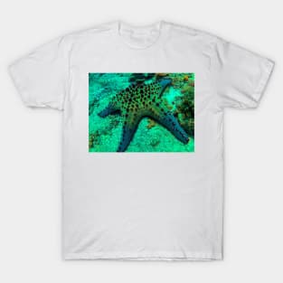 Chocolate Chip Sea Star T-Shirt